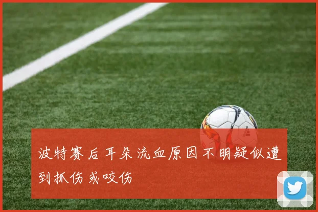 波特赛后耳朵流血原因不明疑似遭到抓伤或咬伤